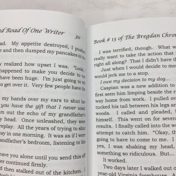#13 The Twisted Road of One Writer The Birth of the Bregdan Chronicles Ginny Dye - Picture 4 of 10